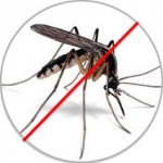 Mosquitoes Control Services company in Dhaka Bangladesh