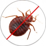 Bedbugs Control Services company in Dhaka Bangladesh